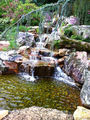 Backyard Waterfall